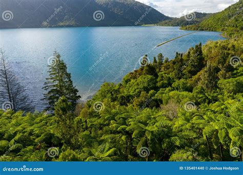 Blue Lake Aerial, Rotorua, New Zealand Stock Photo - Image of outdoor ...