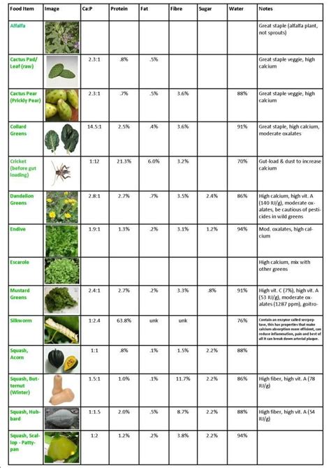 Daily Routine Printable Bearded Dragon Food Chart - Printable Calendars AT A GLANCE