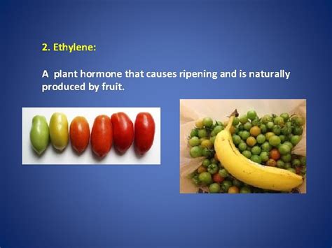 Plant hormones and Responses What is a hormone