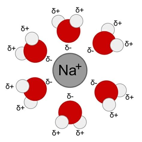 Universal Solvent - Definition and Characteristics | Biology Dictionary