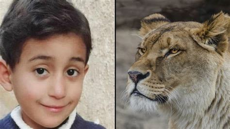 Boy, 6, mauled to death by lion after climbing inside zoo enclosure - TrendRadars