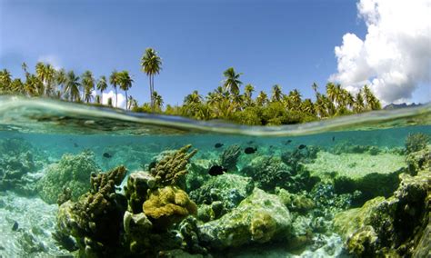 Taha'a Island Tour and Its Coral Gardens, Full-Day | Tahiti.com