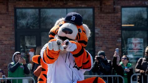 How Paws the Detroit Tiger ranks in MLB mascots on his birthday
