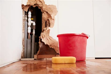 Can A Clogged Toilet Cause A Pipe To Burst - Boggs Inspection Services