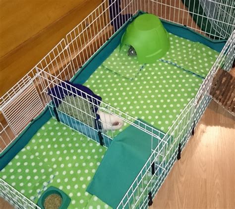 How to Make Guinea Pig Cage Liners: DIY Fleece Bedding - PetHelpful