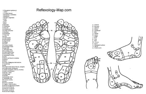 picture of reflexology feet - Google Search | Reflexology foot chart ...