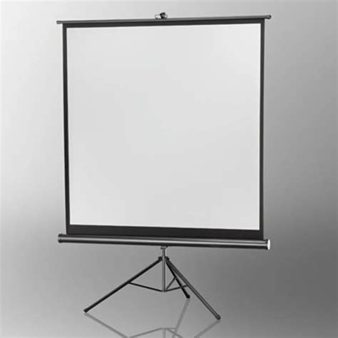 100" Portable Indoor Outdoor Projector Screen, 100 Inch Diagonal ...