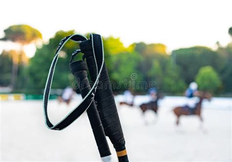 217 Horse Polo Equipment Stock Photos - Free & Royalty-Free Stock ...