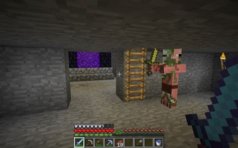 Zombie pigman... in my basement??? - Survival Mode - Minecraft: Java Edition - Minecraft Forum ...