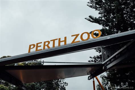 Exploring Perth Zoo • Travelling Lens