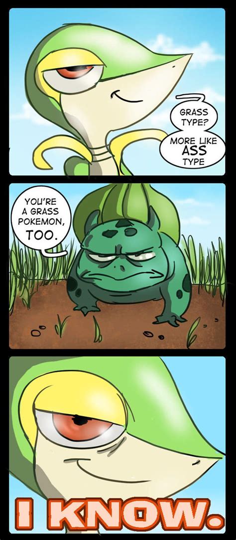 Pin by Lil Turkey & Gravy on Pokemon | Grass pokémon, Pokemon, Pokemon funny