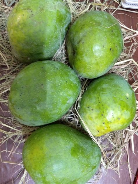 Mulgoba Mango Natural – Parishuddi