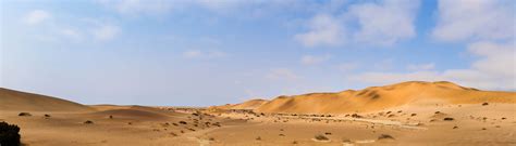 Free Images : landscape, nature, dry, africa, sandy, plateau, habitat, ecosystem, sahara, wadi ...