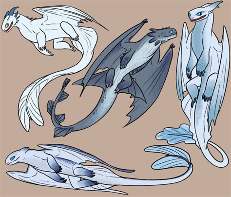 Drew some of the light fury concepts from the... | Night fury dragon, Httyd dragons, Httyd art