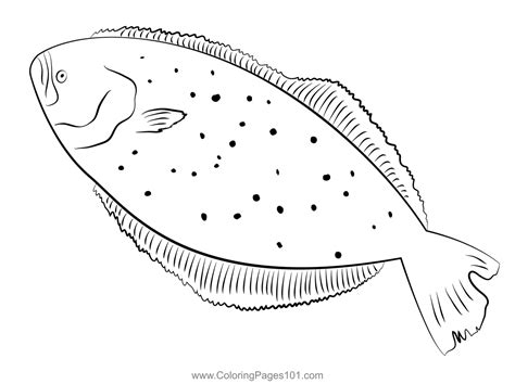 Flounder 3 Coloring Page for Kids - Free Flounders Printable Coloring Pages Online for Kids ...