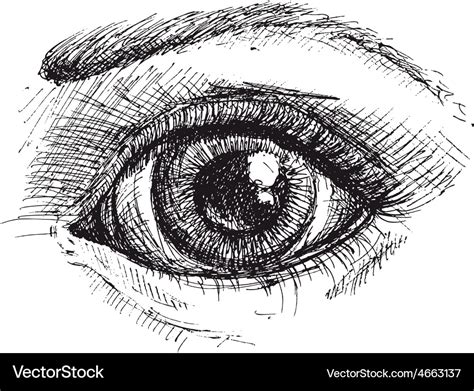 Black and white drawing of eye Royalty Free Vector Image