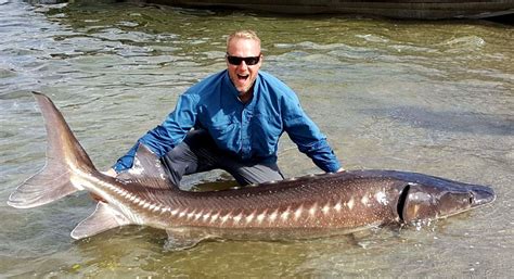 Guided Sturgeon Fishing Trips | Snake River