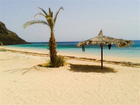 THE 5 BEST Djibouti Beach Hotels of 2022 (with Prices) - Tripadvisor