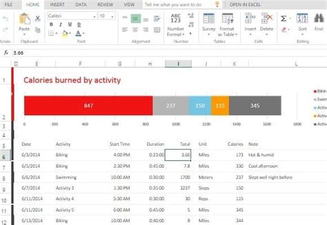 Exercise Activity Tracker Template For Excel