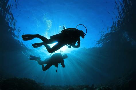 4K Ultra HD Scuba diving Wallpapers | Background Images