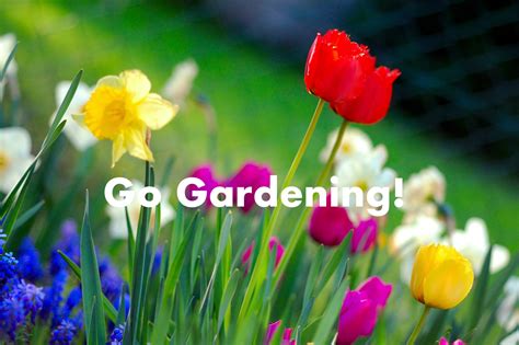 Go Gardening!