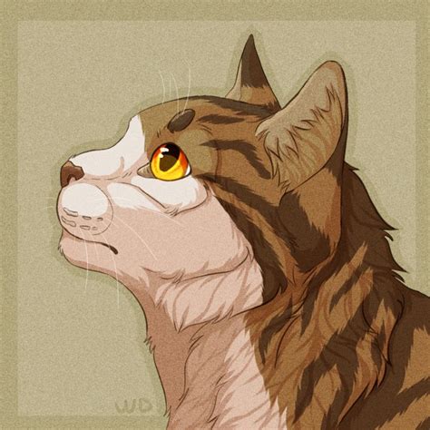 Erin Hunter "Warrior cats" | Warrior cats art, Warrior cats, Cats