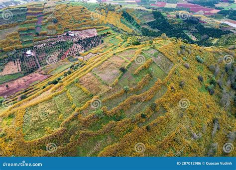 Taiwan beautiful mountains stock photo. Image of flower - 287012986