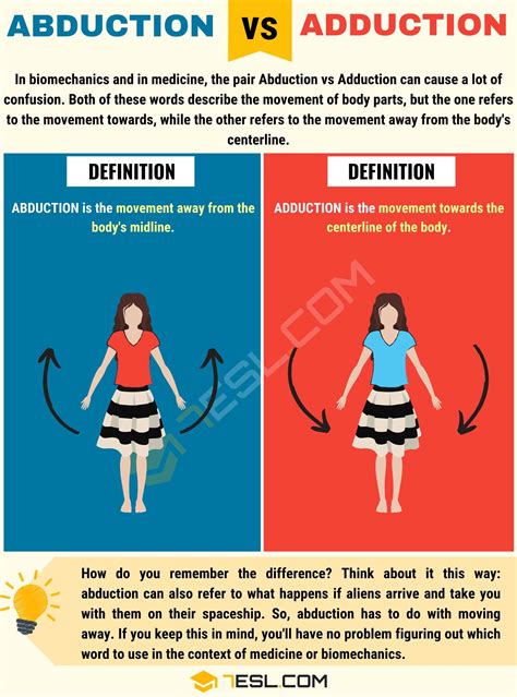 Abduction vs. Adduction: What Is The Difference • 7ESL