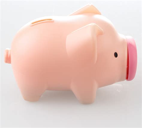Free Images : piggy bank, pig, the money bin 3096x2792 - - 1234493 - Free stock photos - PxHere