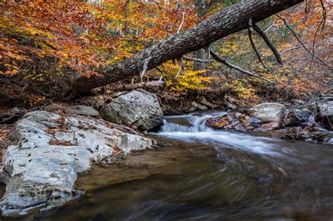 Michael Speed | New fall photos from Indian Valley Virginia.