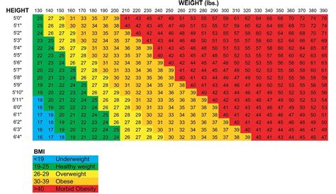 Bmi calculator kids - grossstupid