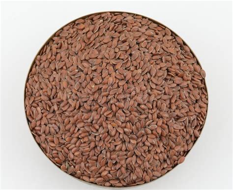 Alsi seed stock photo. Image of ingredient, crop, detail - 94664072