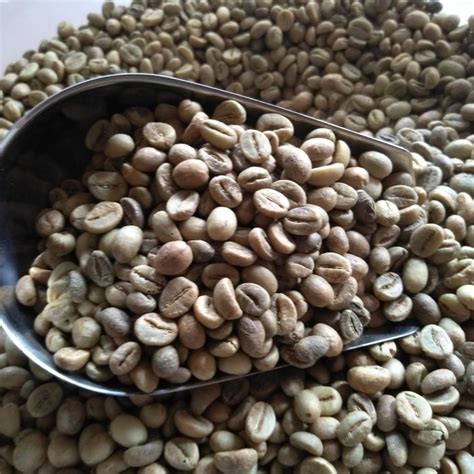 Robusta coffee beans | Inaexport