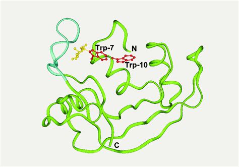 The three-dimensional structure of RNase 2. | Download Scientific Diagram