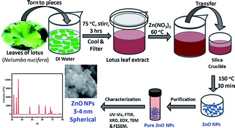 Green and low-cost synthesis of zinc oxide nanoparticles and their application in transistor ...