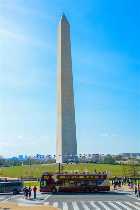 Top Reasons to Take a Big Bus Tour in DC | Washington.org