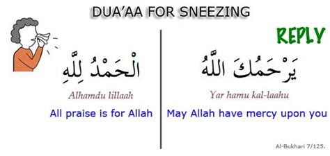 One Should Say "Alhamdulillah”After Sneezing | Medically Proven Reasons - Islamic Articles