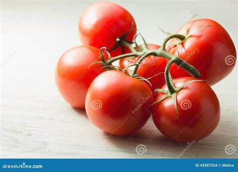 Fresh vine tomatoes stock photo. Image of fruit, green - 43587254