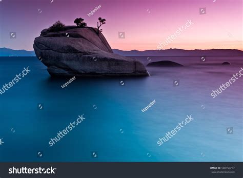 Bonsai Rock Lake Tahoe Stock Photo 148350257 | Shutterstock