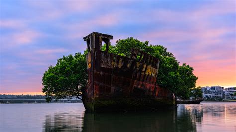 How A WWII Ship Turned Into A Floating Forest In Sydney