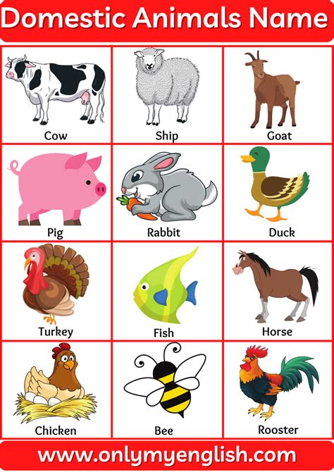 Domestic Animals Name or Farm Animals name in English with Pictures ...