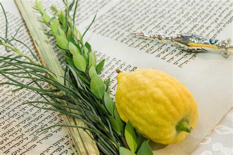 Naso-The Priestly Blessing-Shavuot-Rabbi Yakira - YedidYah