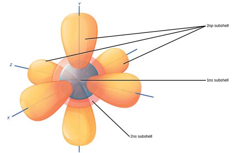 How many p orbitals are there in a neon atom? | Socratic