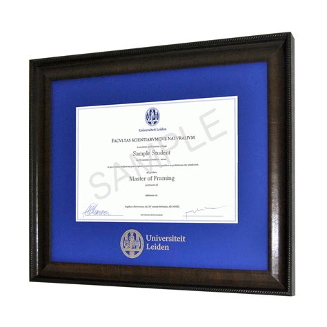 Leiden University Diploma Frame | Ivy Frames Diploma Frames