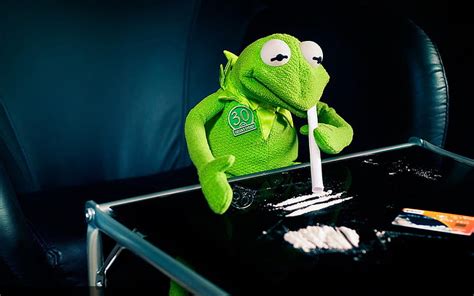 3840x2160px | free download | HD wallpaper: kermit the frog cocaine 1680x1050 Animals Frogs HD ...