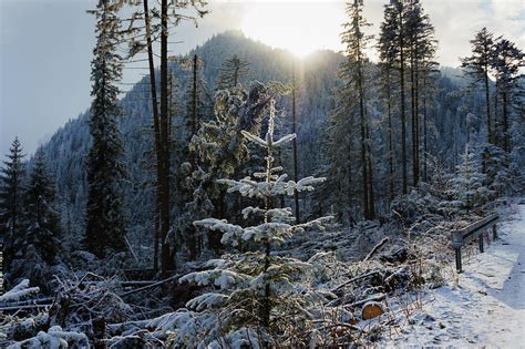 Winter view on mountains in Tatra National Park Photograph by Elena Rodionova - Fine Art America