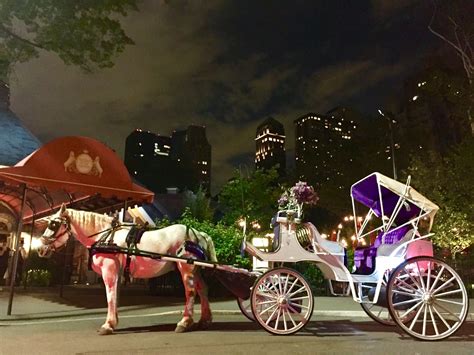 Central Park Carriage Rides | Horse Drawn Carriage NYC