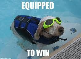 funny swimming images - Google Search | Dog swimming, Dog jokes, Water dog