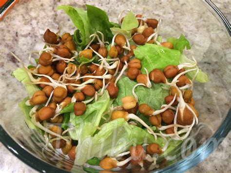 Salad for Lunch - with Black Chana Sprouts - Thibu Times