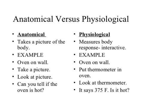 Anatomy And Physiology Examples